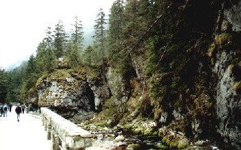 W Dolinie Kocieliskiej